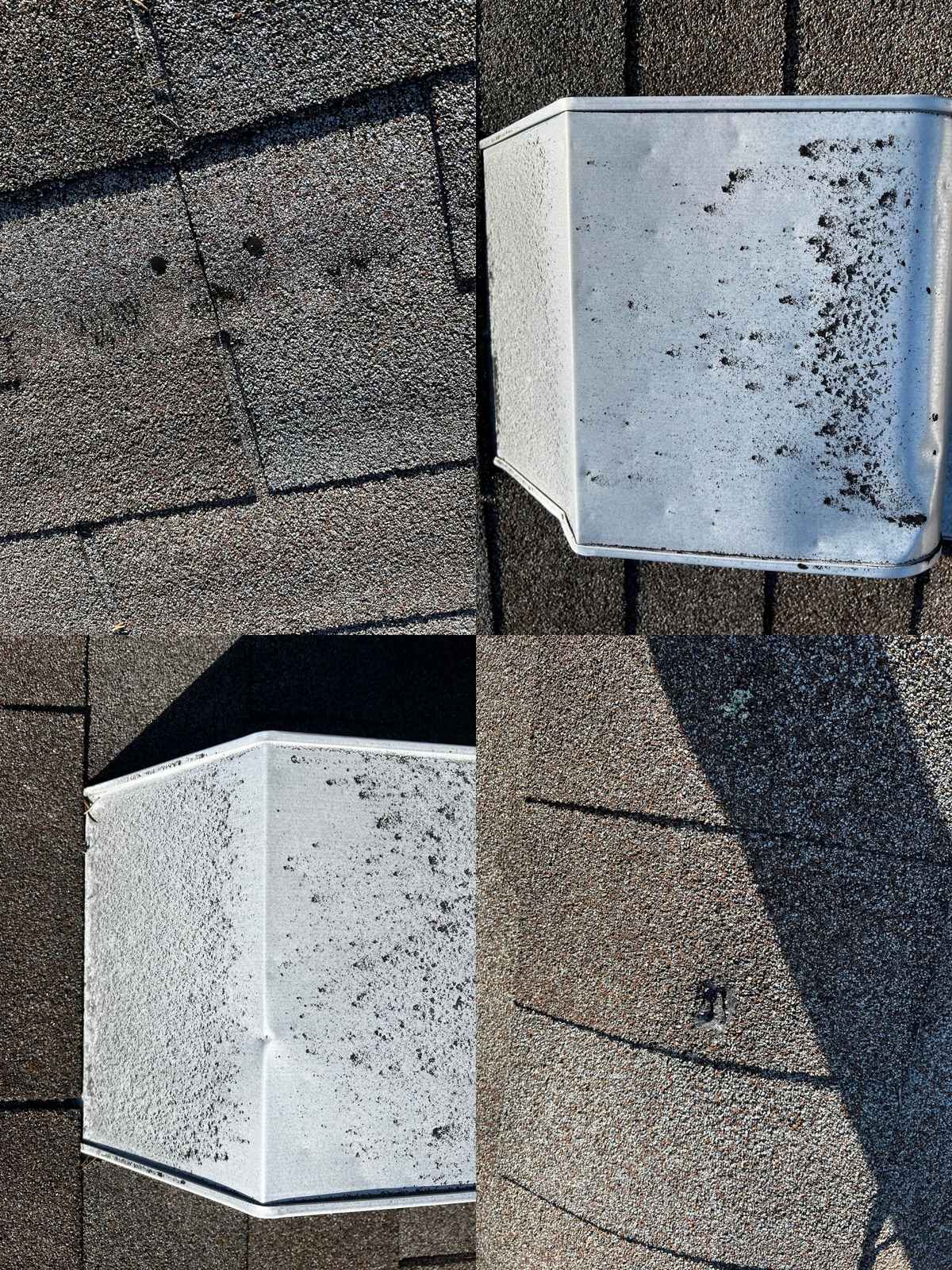 What are roof leaks